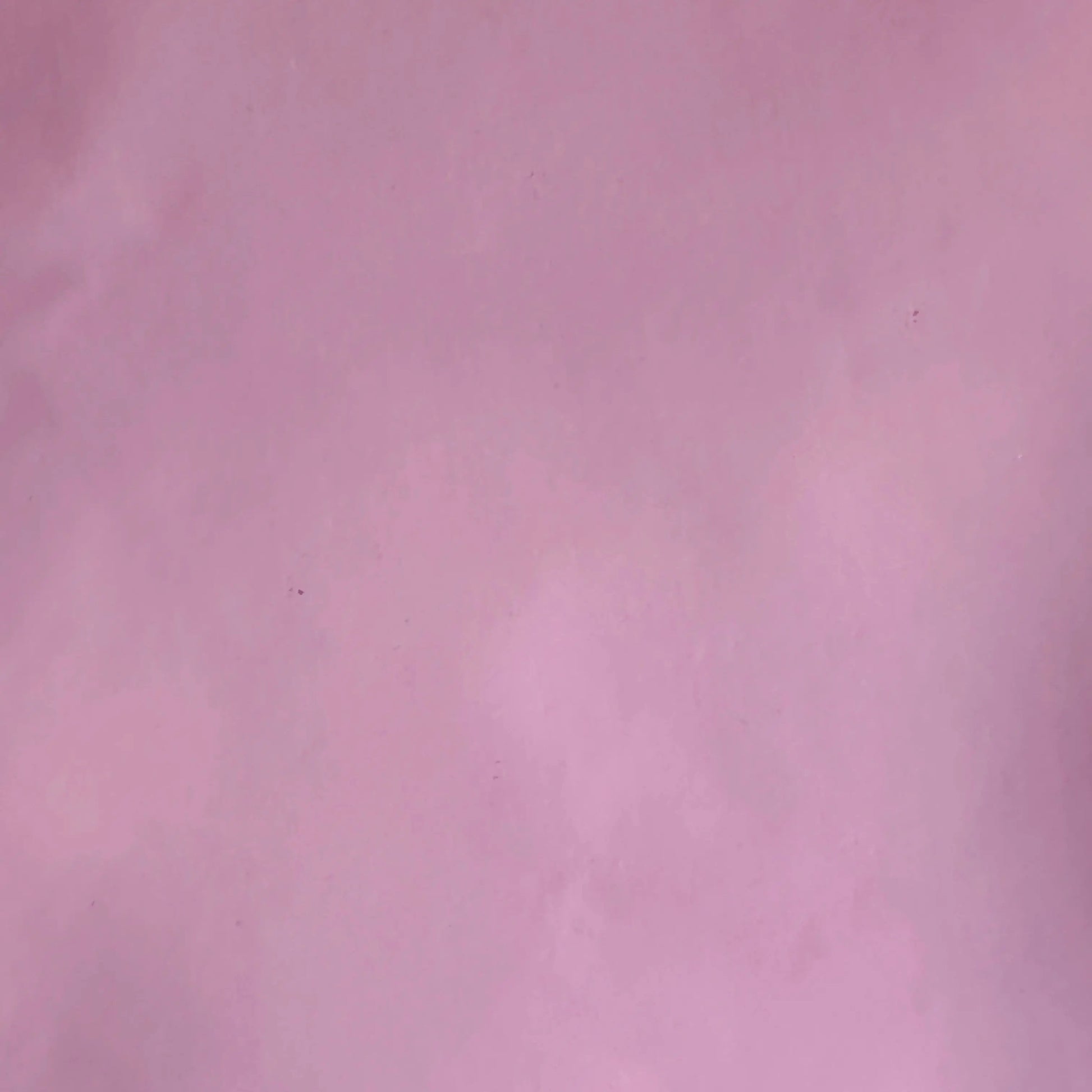 Solid Stretch Shiny Vinyl on Polyester Spandex | Spandex Palace - Ladjyanoo