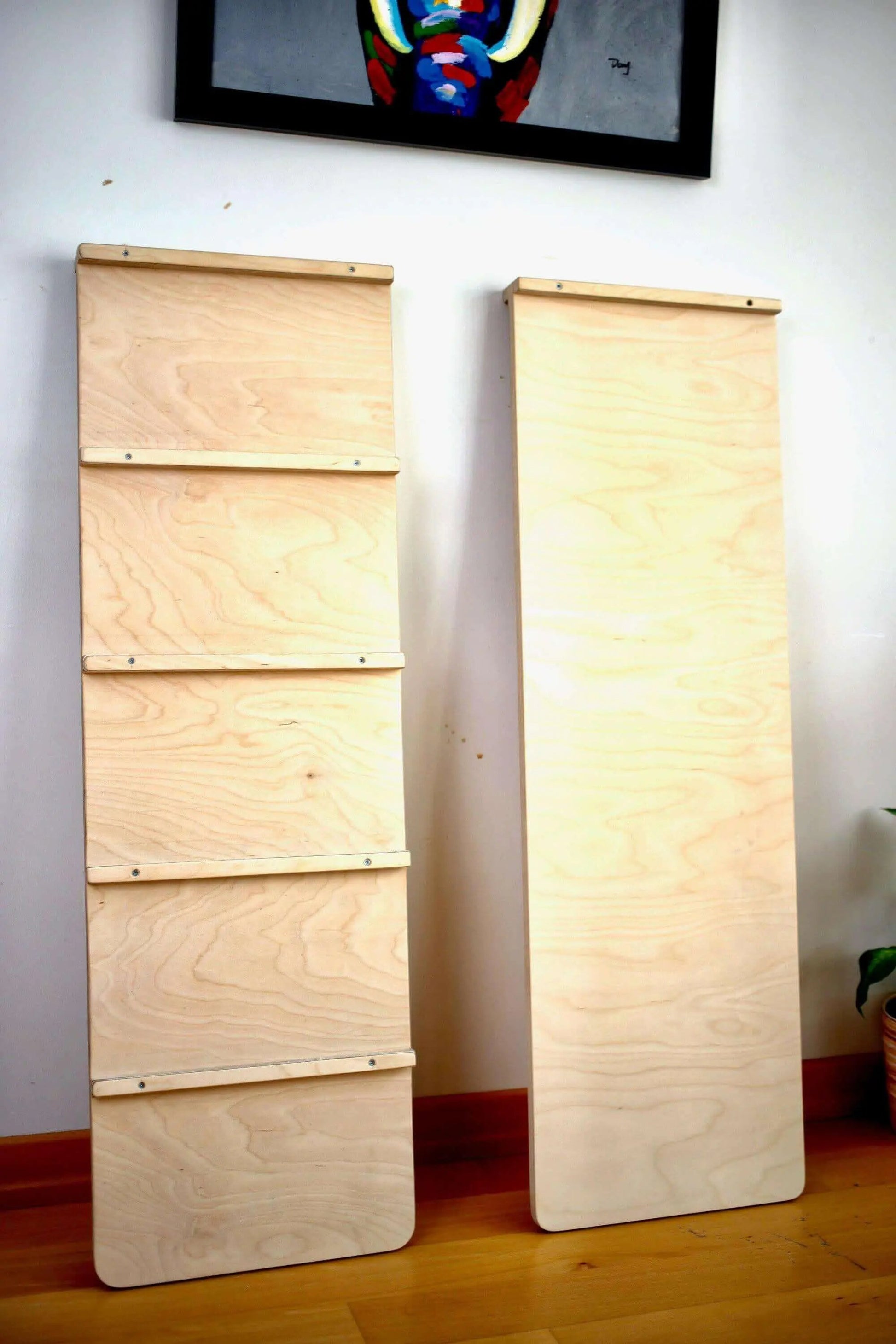 Reversible Ladder Climbing / Sliding Ramp - Ladjyanoo