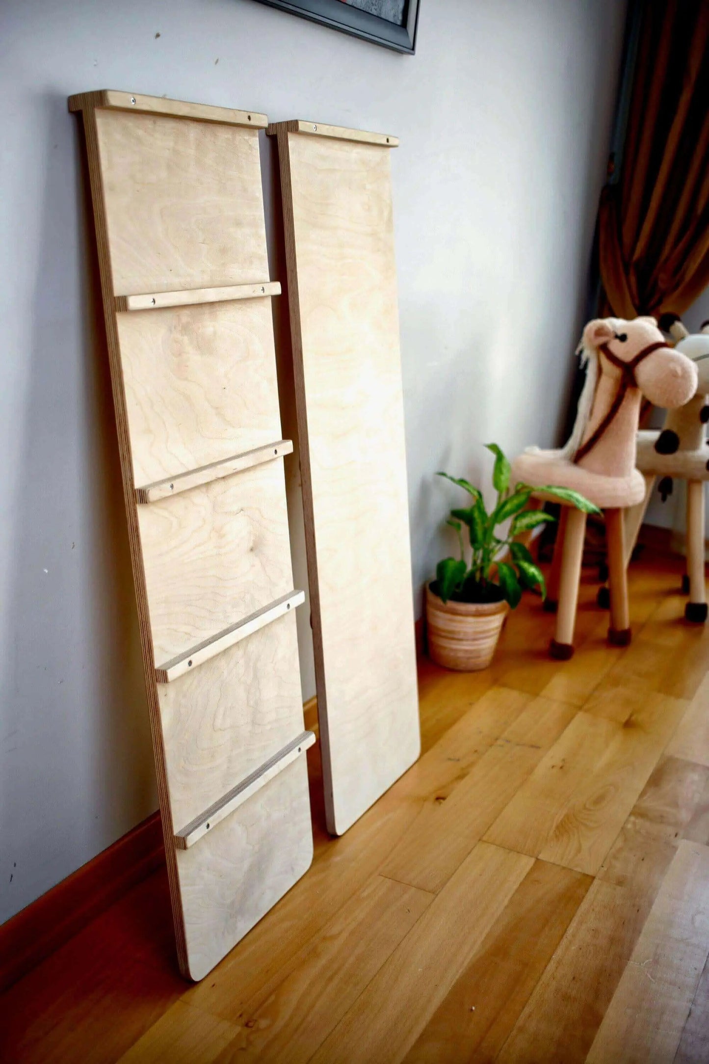 Reversible Ladder Climbing / Sliding Ramp - Ladjyanoo