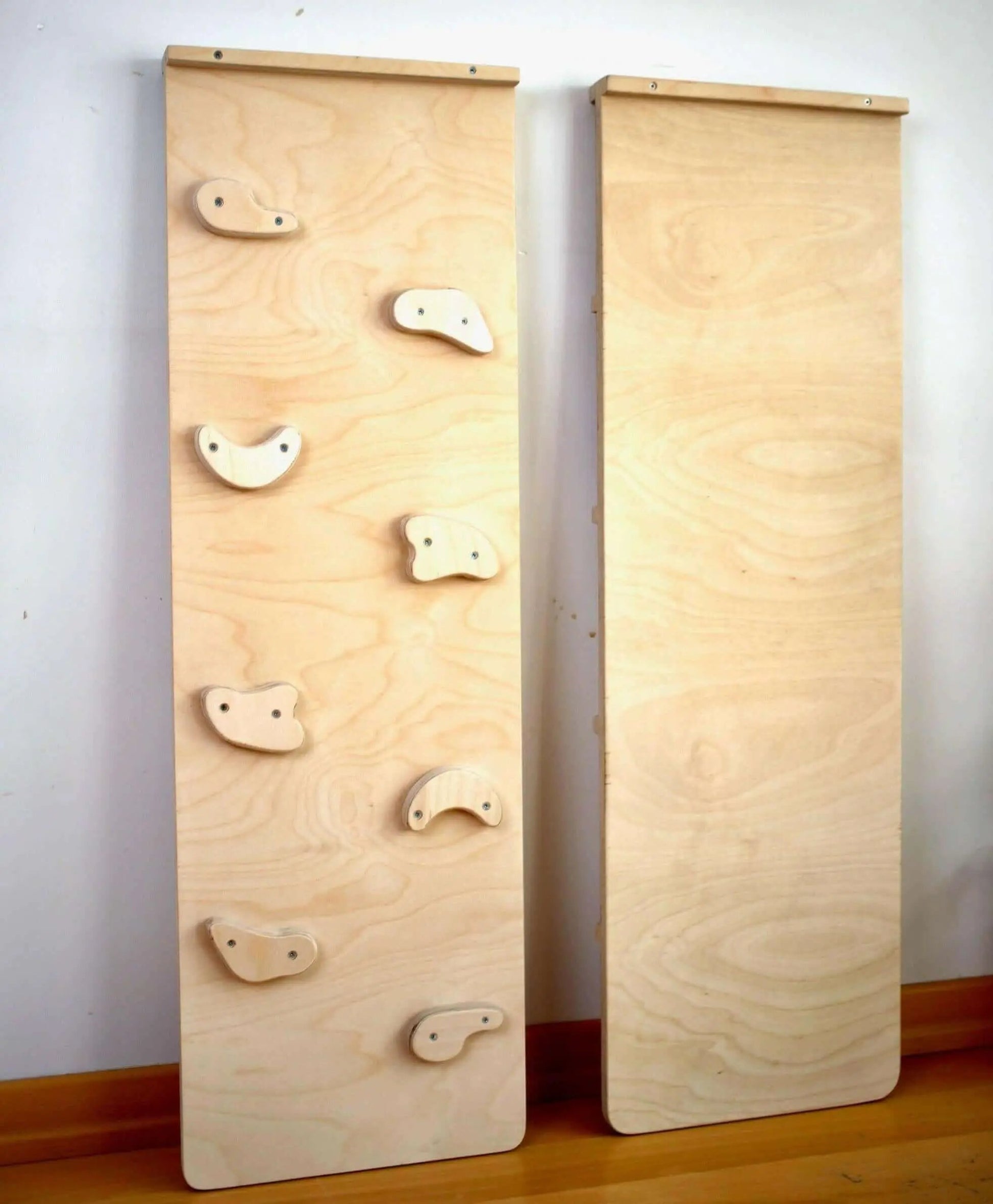 Reversible Rockwall Climbing / Sliding Ramp - Ladjyanoo