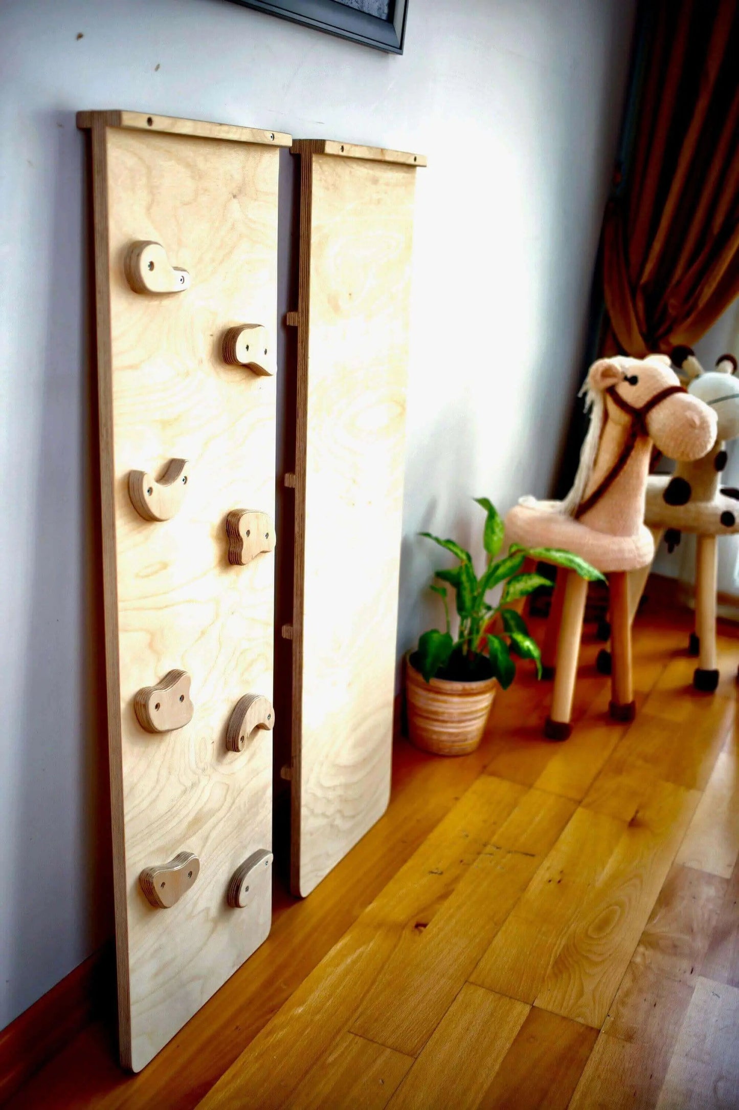 Reversible Rockwall Climbing / Sliding Ramp - Ladjyanoo